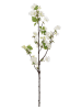 Bizzotto Kunstzweig ''Pear Cyndi'' in Weiß/ Grün - (L)94 x (B)20 cm