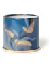 Bloomingville Duftkerze "Citrus Crush" in Blau - 335 g