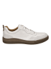 Josef Seibel Leren sneakers crème