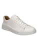 Josef Seibel Leren sneakers crème