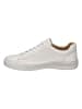Josef Seibel Leder-Sneakers in Creme
