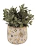 Clayre & Eef Blumentopf in Creme/ Grün - (H)12 x Ø 14 cm