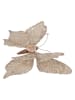 Clayre & Eef Dekoobjekt "Schmetterling" in Beige - (B)28 x (H)22 cm