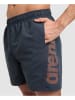 Arena Badeshorts in Dunkelblau