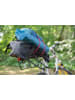 Black & Decker 2-delige set: karabijnhaak-spanbanden rood - (L)60 cm