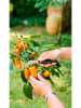 Black & Decker Veredelingsmes zwart - (H)17 cm
