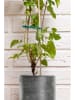 Black & Decker Plantenkabel groen - 50 stuks