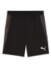 Puma Short "individualFINAL" zwart
