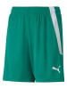 Puma Trainingsshorts "teamLIGA" in Grün