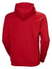 Helly Hansen Bluza "Core Graphic" w kolorze czerwonym