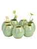 G. Wurm Vase in Mint - (B)19 x (H)6 x (T)19 cm