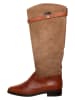 Steve Madden Stiefel "Novi" in Taupe/ Braun