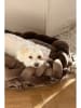 Jotex Hondenbed "Brady" bruin