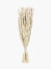 CALMA HOUSE Gedroogde bloemen boeket ''Rotoun'' beige - (L)60 cm