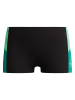 Speedo Badehose "Dive" in Schwarz/ Türkis
