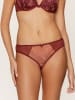 Linga Dore Slip in Bordeaux