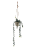 Ornami Sztuczna roślina w kolorze beżowo-zielonym - dł. 68 cm