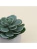 Ornami Kunstpflanze in Grün/ Grau - (H)12 cm 