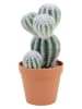 Ornami Sztuczna roślina w kolorze zielono-jasnobrązowym - wys. 26 cm