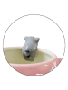 Winkee Tasse ''Pet Friends Katze'' in Rosa - 350 ml