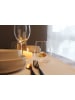Winkee Glas ''Goldfisch'' in Gelb - 450 ml