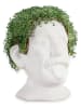 Winkee Blumentopf ''Chia Genie'' in Weiß - (B)18 x (H)23 x (T)17 cm