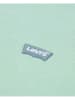 Levi's Kids Hoodie groen