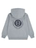 Levi's Kids Hoodie in Grau