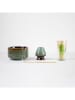 Yoko Design 4tlg. Matcha-Set "Tradition" in Grün/ Braun