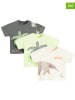 COOL CLUB 3er-Set: Shirts in Anthrazit/ Grün/ Beige