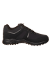 Mammut Trekkingschuhe "Ultimate Pro Low GTX"  in Schwarz