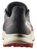 SALOMON Trailrunningschoenen "ALPHARIDE 2 GORE-TEX" antraciet