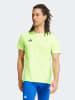 adidas Laufshirt in Grün