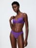 Triumph Slip "That Night in Vegas" in Lila
