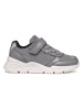 Geox Sneakers "Loftus" in Grau