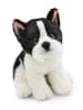 NICI Maskotka "Boston Terrier" - 0+
