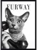 Ars Longa Druk artystyczny "Elegance Cat" w ramce - 70 x 50 cm