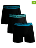Muchachomalo 3er-Set: Boxershorts in Schwarz