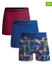 Muchachomalo 3-delige set: boxershorts blauw/roze/meerkleurig