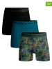 Muchachomalo 3er-Set: Boxershorts in Bunt/ Türkis/ Schwarz