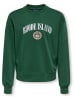 ONLY & SONS Junior Sweatshirt "Cole" in Grün