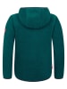 Trollkids Fleece vest "Aurlandsfjord" groen