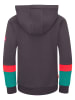 Trollkids Hoodie "Troll" grijs
