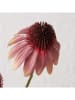 Boltze Kunstblume "Sonnenhüte" in Lila/ Grün - (H)95 cm