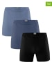 Muchachomalo 3er-Set: Boxershorts in Schwarz/ Blau/ Hellblau