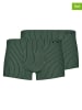 Skiny 2-delige set: boxershorts groen