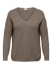 ONLY Carmakoma Pullover in Beige