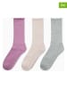 Converse 3er-Set: Socken "Lettuce Edge" in Beige/ Pink/ Creme