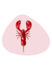 WD lifestyle Platzset "Lobster" in Rosa/ Rot - (L)43 x (B)36 cm