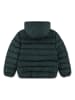 Lacoste Kids Steppjacke in Grün